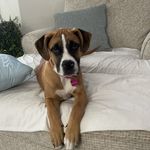Roxanne Case-Fudger - @rokinrox - Instagram
