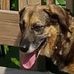 Roxy Case - Facebook