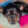 roxannechild - @roxannechild - TikTok