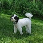 Roxy Roxanne Ms Childs - @roxy_rosanne1 - Instagram