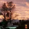 roxannecole - @roxie51768 - TikTok