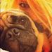 Roxanne Connelly - Facebook