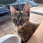 Rox - @rox.annecunningham - Instagram