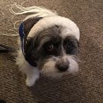 Roxanne Daugherty - @roxanne.daugherty.716 - Instagram