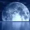 roxannedaugherty4 - @roxanne.daugherty1 - TikTok