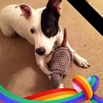 Roxanne Farris - Facebook