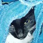 roxanne frazier - @roxxy5858 - Instagram