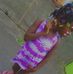 Roxanne Frederick - Facebook