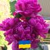 Roxanne Girard - Facebook