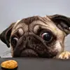 roxannegirard905 - @roxannegirard905 - TikTok