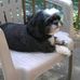 Roxy Glover - Facebook