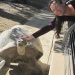 Roxanne Greene - @bookkeepingrox - Instagram