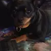 Roxanne Groves - @roxanne.groves - TikTok