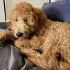 Roxanna Lynne Hanson-Mccormick - @roxanna.lynne.han - TikTok