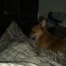 Roxanne Hanson - Facebook