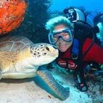 Roxanne Head - @casa_de_tortuga - Instagram