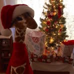 Roxy Hensley - Facebook
