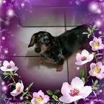 Roxanne Holt - Facebook