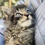 Roxanne Holt - @roxanne.holt.58 - Instagram