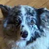 roxannehoover523 - @roxannehoover523 - TikTok