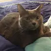 roxannehoover - @roxannehoover - TikTok