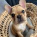 Roxanne Hutton - Facebook