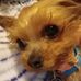 Roxanne E. Johansen - Facebook