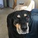 Roxanne Kasper - Facebook