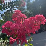 Roxanne Kirby - Kosturko - @roxk83 - Instagram