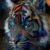 Roxanne Koenig - Facebook