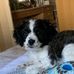 Roxie Koenig - Facebook