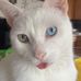 Roxanne Krueger - Facebook