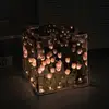 lbxqxbuo@ - @roxannelighting7 - TikTok