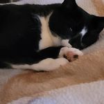 Roxanne Locke - @roxanne.locke.3 - Instagram