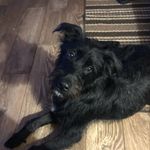 Roxanne Logan - @roxannelogan0625 - Instagram