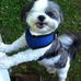 Roxanne Rinaldi Lord - Facebook