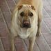 Roxanne Lynch - Facebook