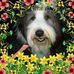 Roxanne Lynd - Facebook