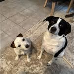 Roxanne Manning - @billmurray391 - Instagram