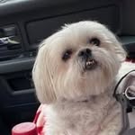 Roxanne Manning-Sellers - @manningsellers0815 - Instagram