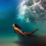 Roxanne Mansfield - @roxannimals - Instagram