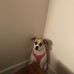 Roxie Mansfield - Facebook