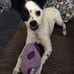 Roxanne Marks - Facebook