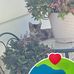 Roxanne Mathews - Facebook
