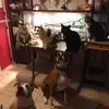 roxannematthews4 - @roxannematthews4 - TikTok