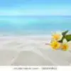 roxannemcintyre0 - @roxannemcintyre0 - TikTok