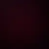 Roxanne McNeill - @roxanne.mcneill3 - TikTok