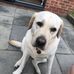 Roxy Mead - Facebook