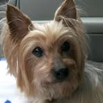 Roxanne Meeks - Facebook