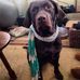 McKenna Roxanne Napier - Facebook